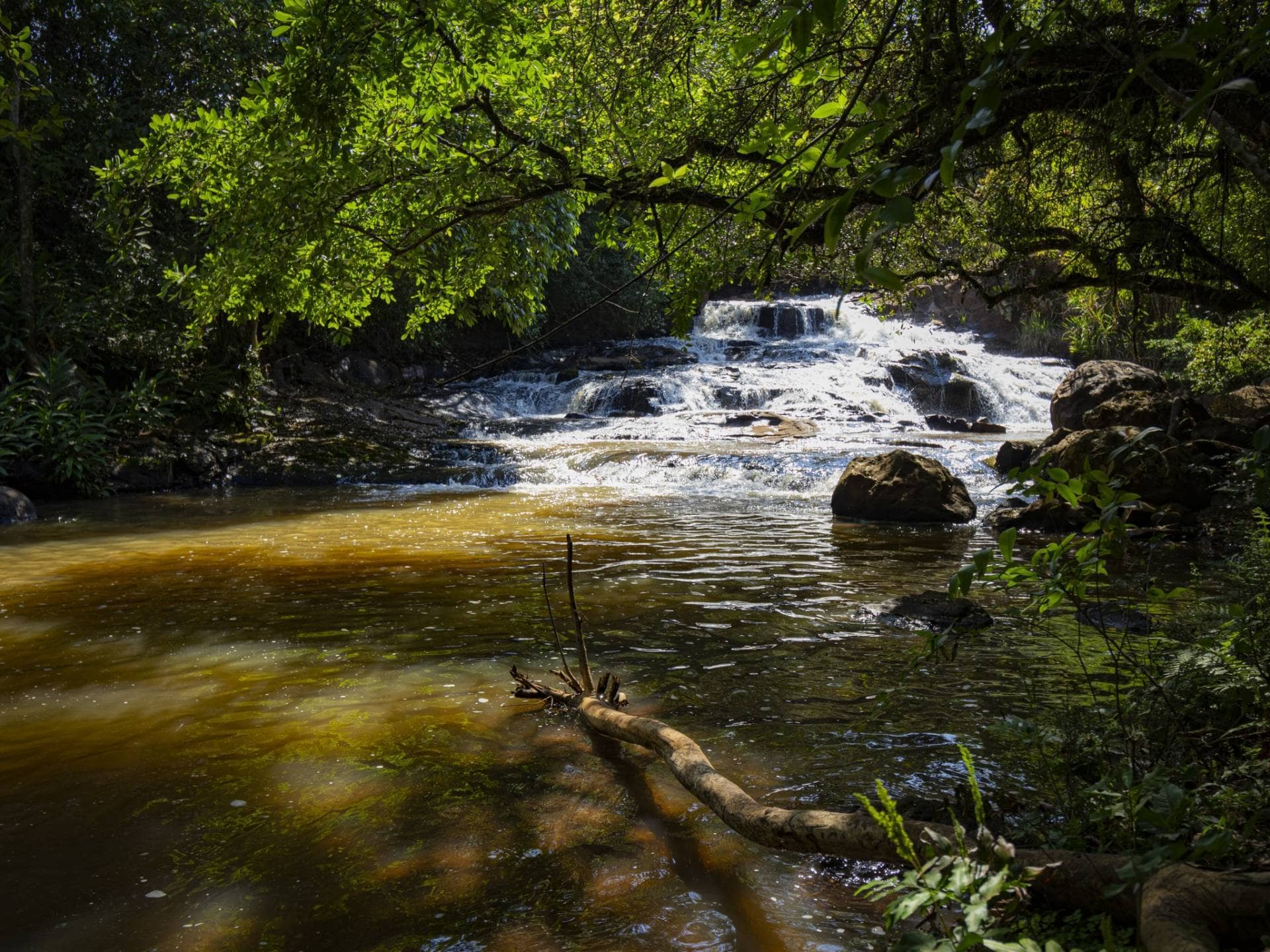 Cachoeira do Vino